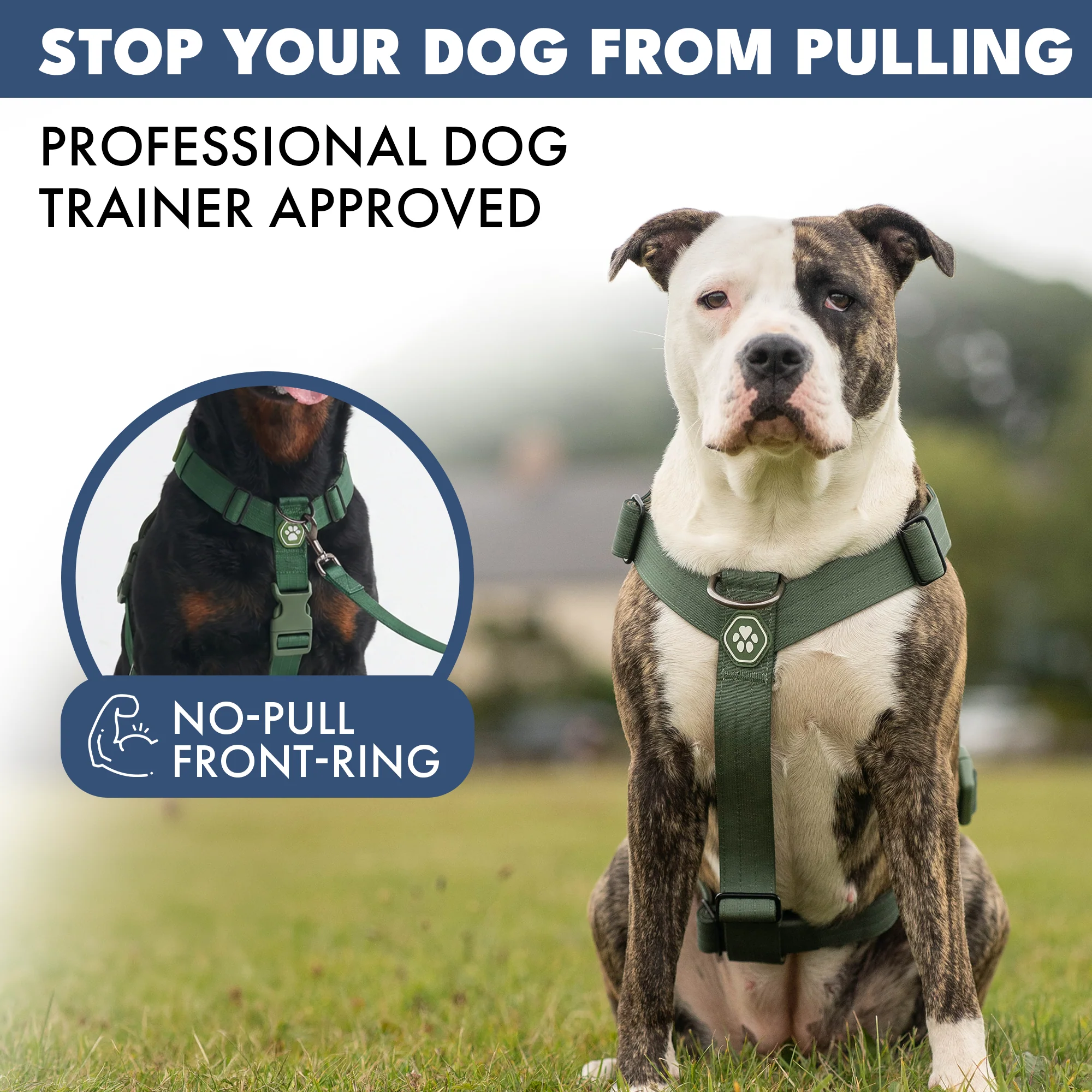 Produktbild 31